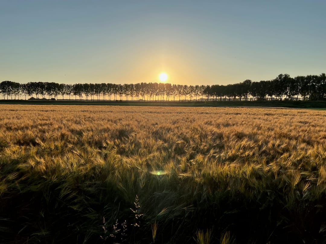 Foto 53 van Molendijk 9