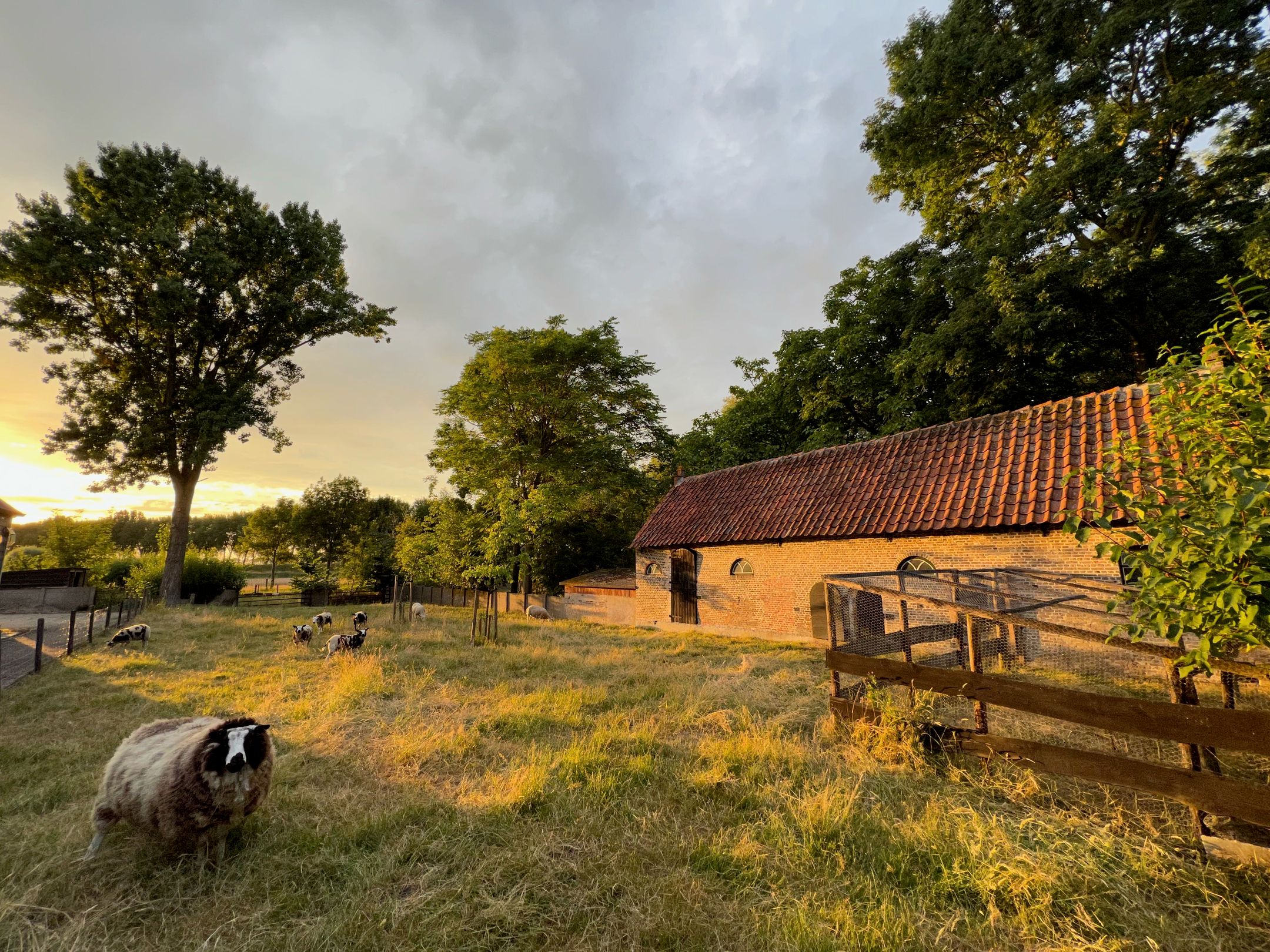 Foto 54 van Molendijk 9