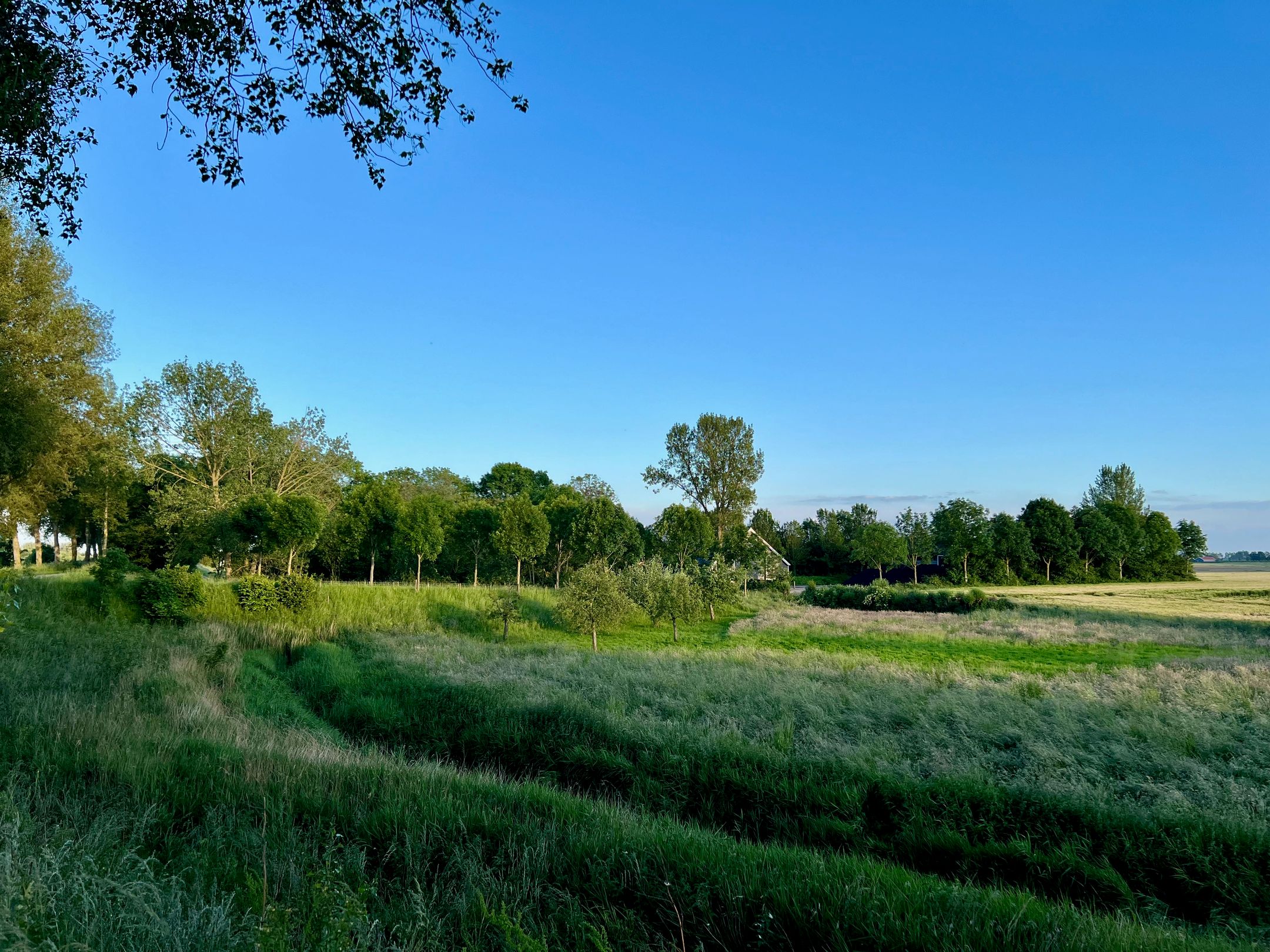 Foto 66 van Molendijk 9