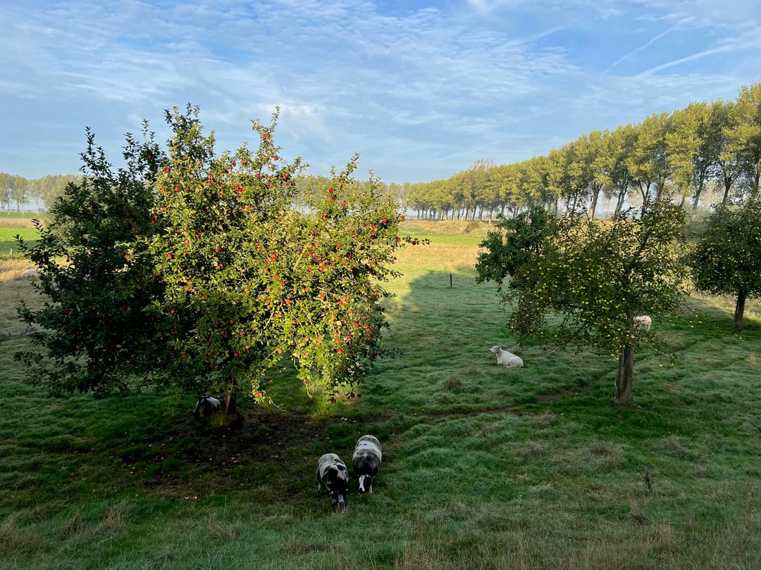 Foto 67 van Molendijk 9