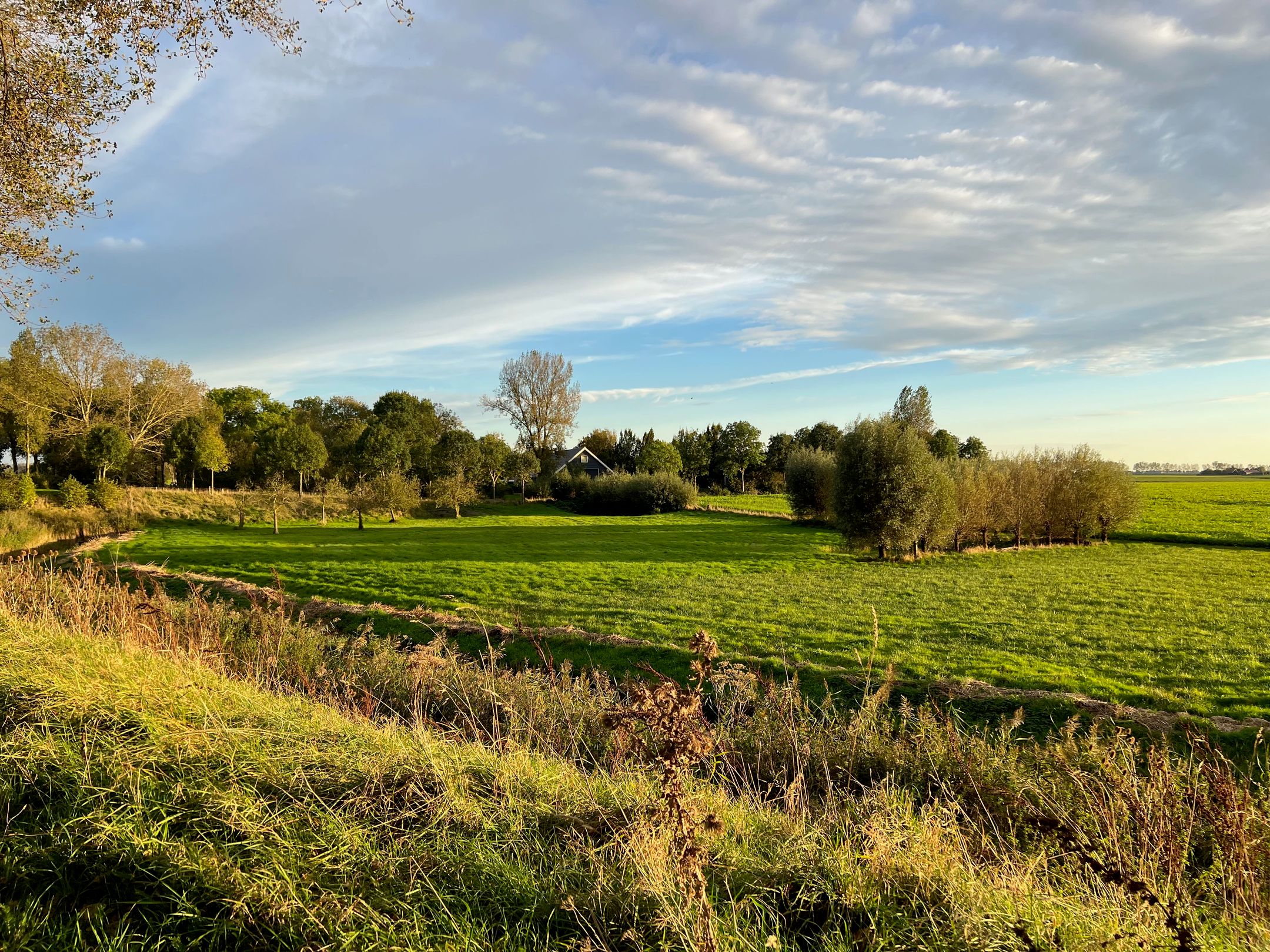 Foto 69 van Molendijk 9