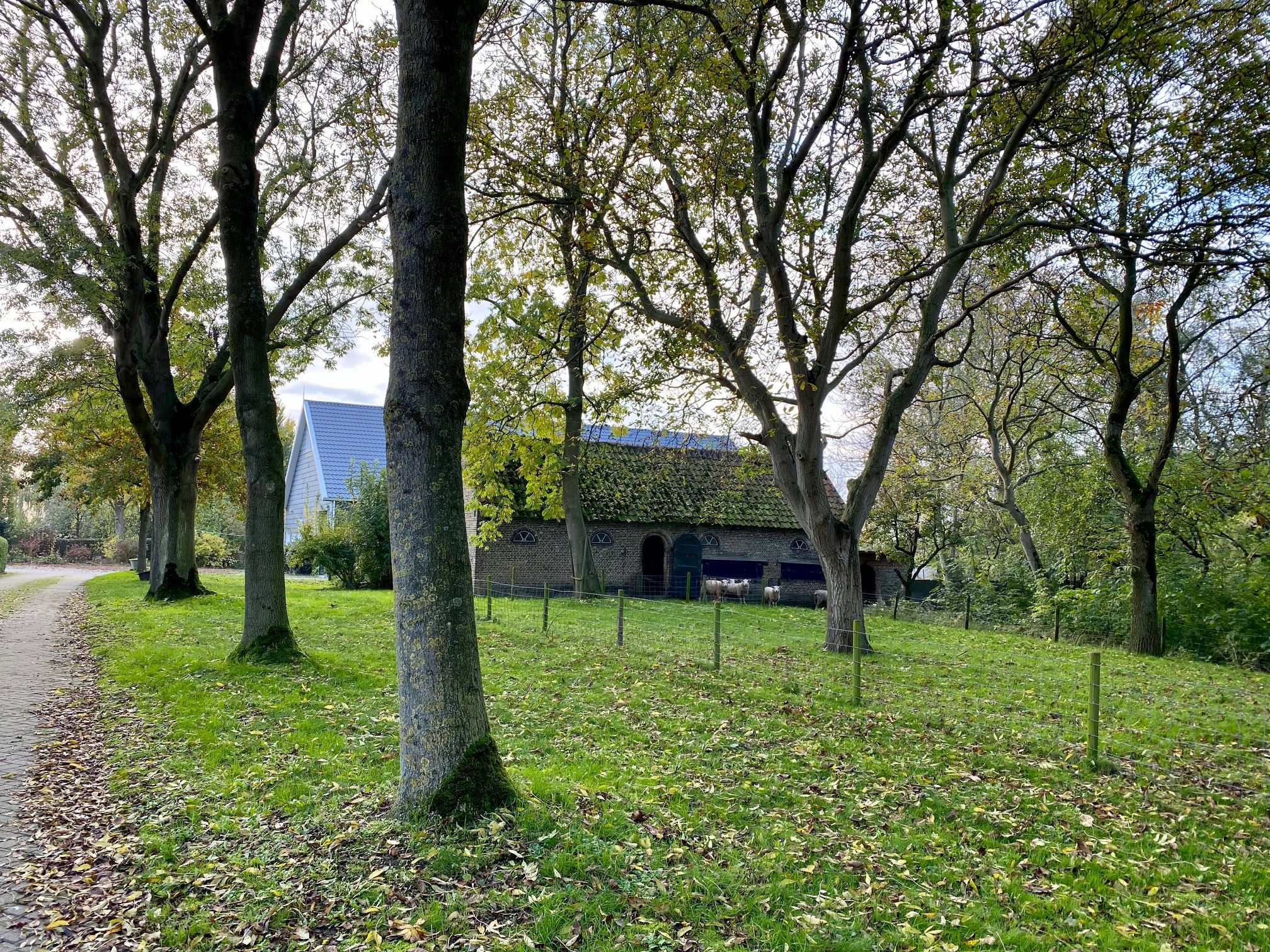 Foto 75 van Molendijk 9