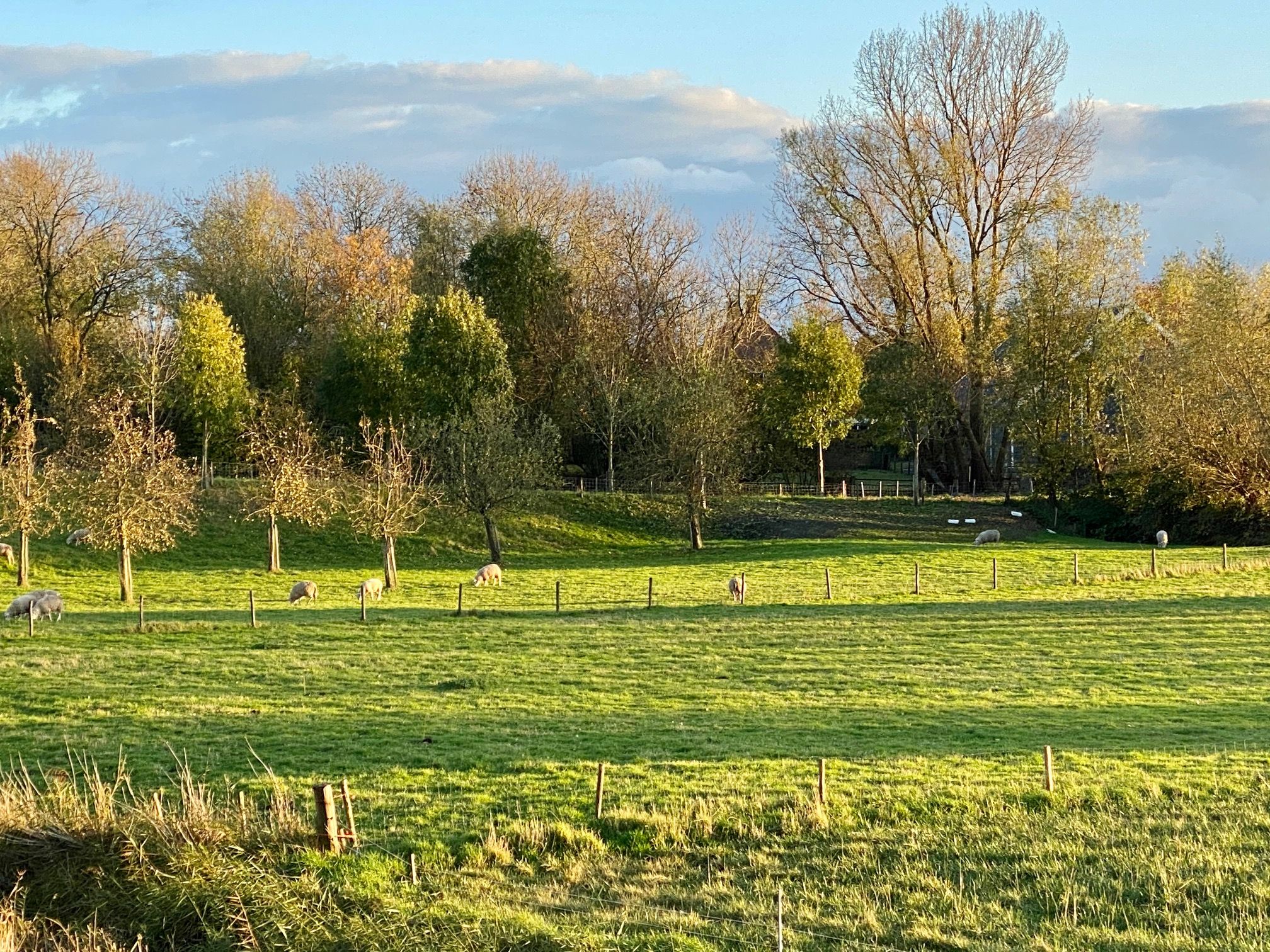 Foto 78 van Molendijk 9