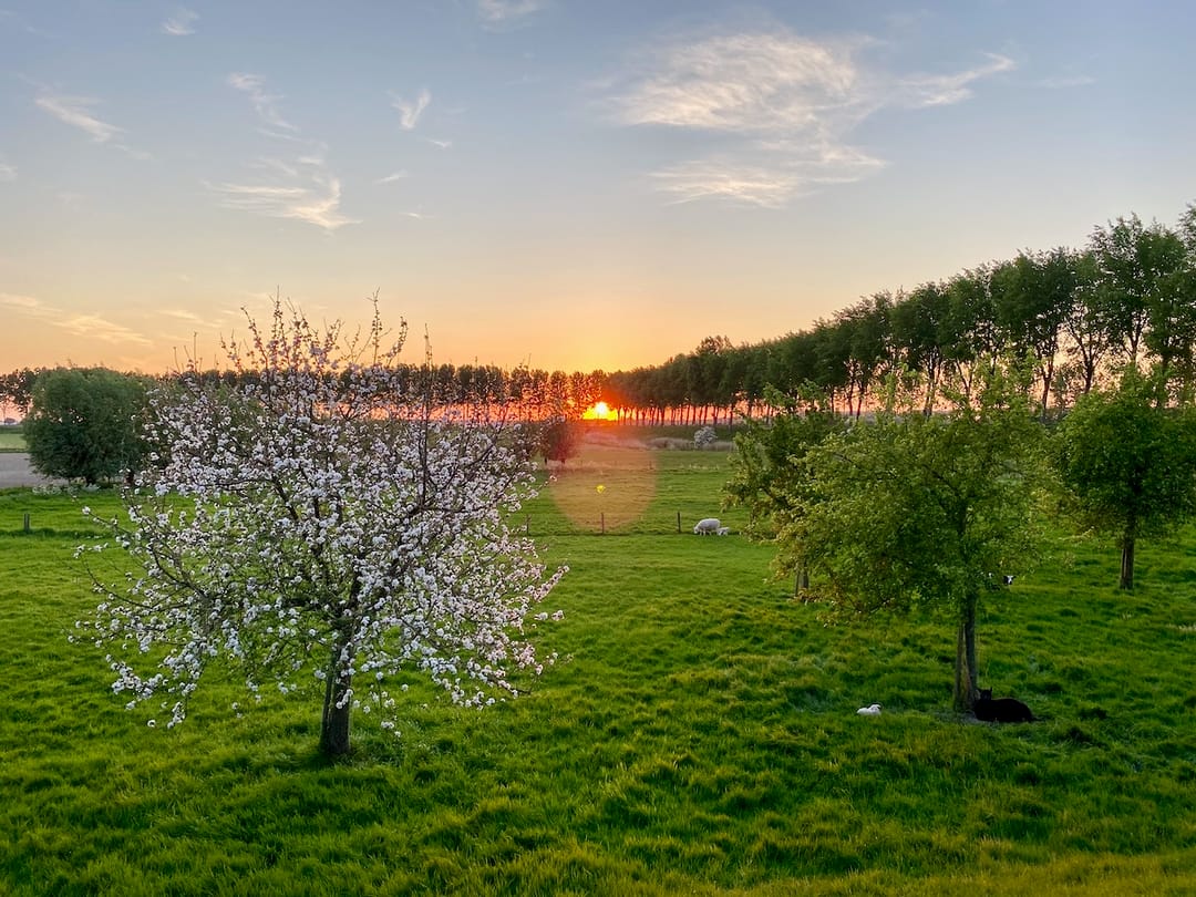 Foto 68 van Molendijk 9