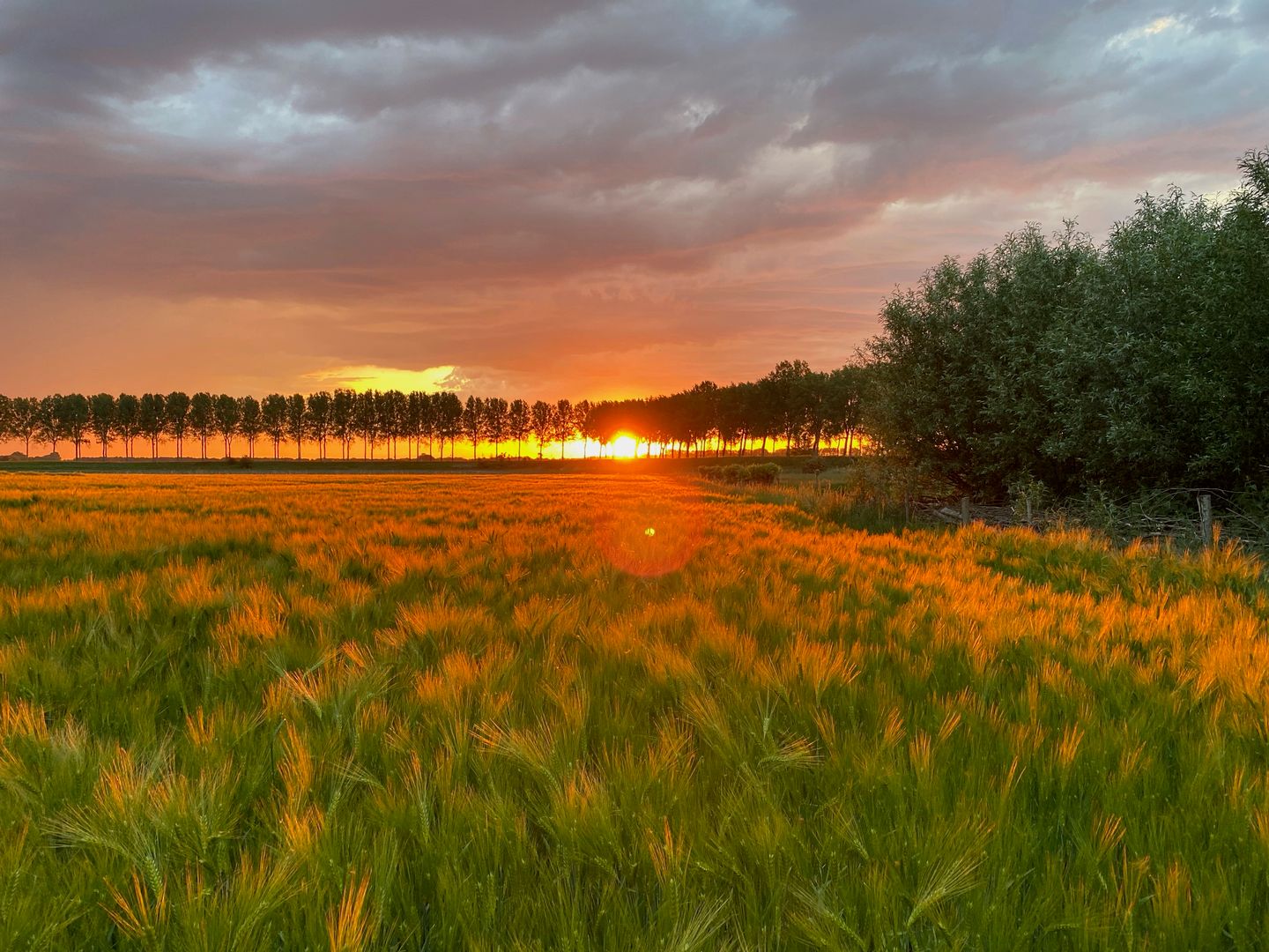 Foto 70 van Molendijk 9