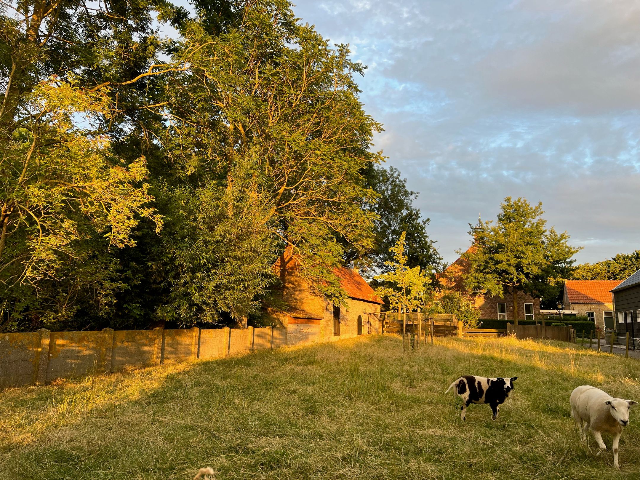 Foto 57 van Molendijk 9