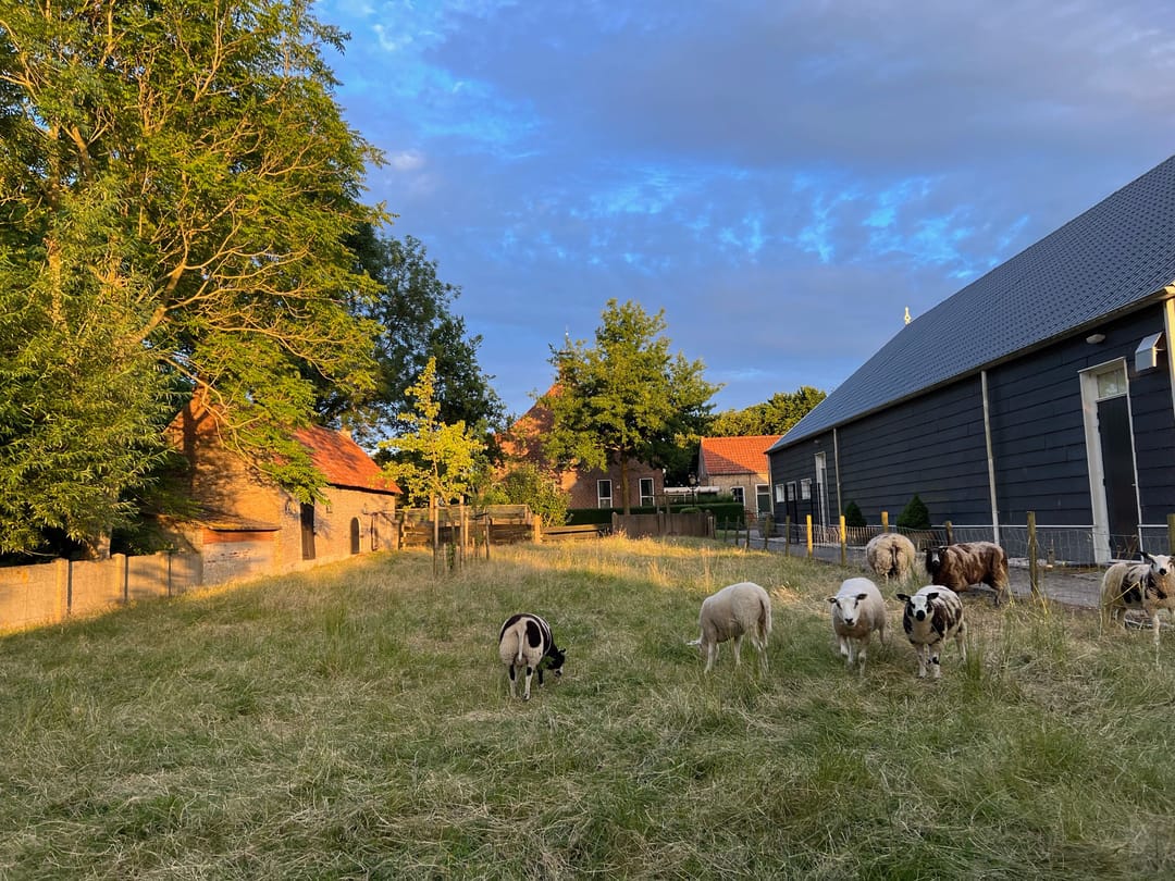 Foto 58 van Molendijk 9