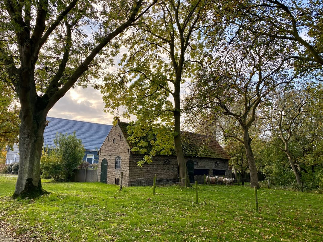 Foto 77 van Molendijk 9