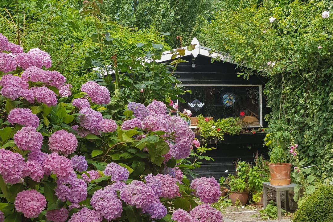 Foto 32 van Hendrick de Keijserstraat 7