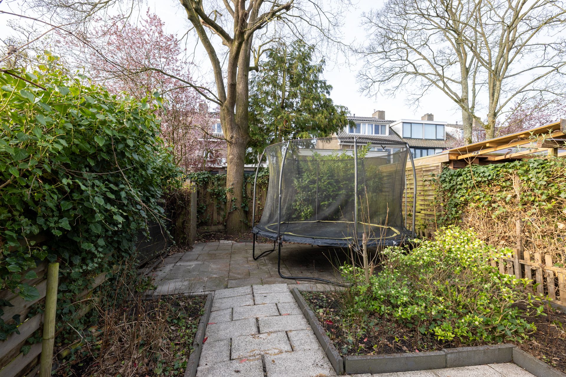 Foto 33 van Borchsatelaan 38