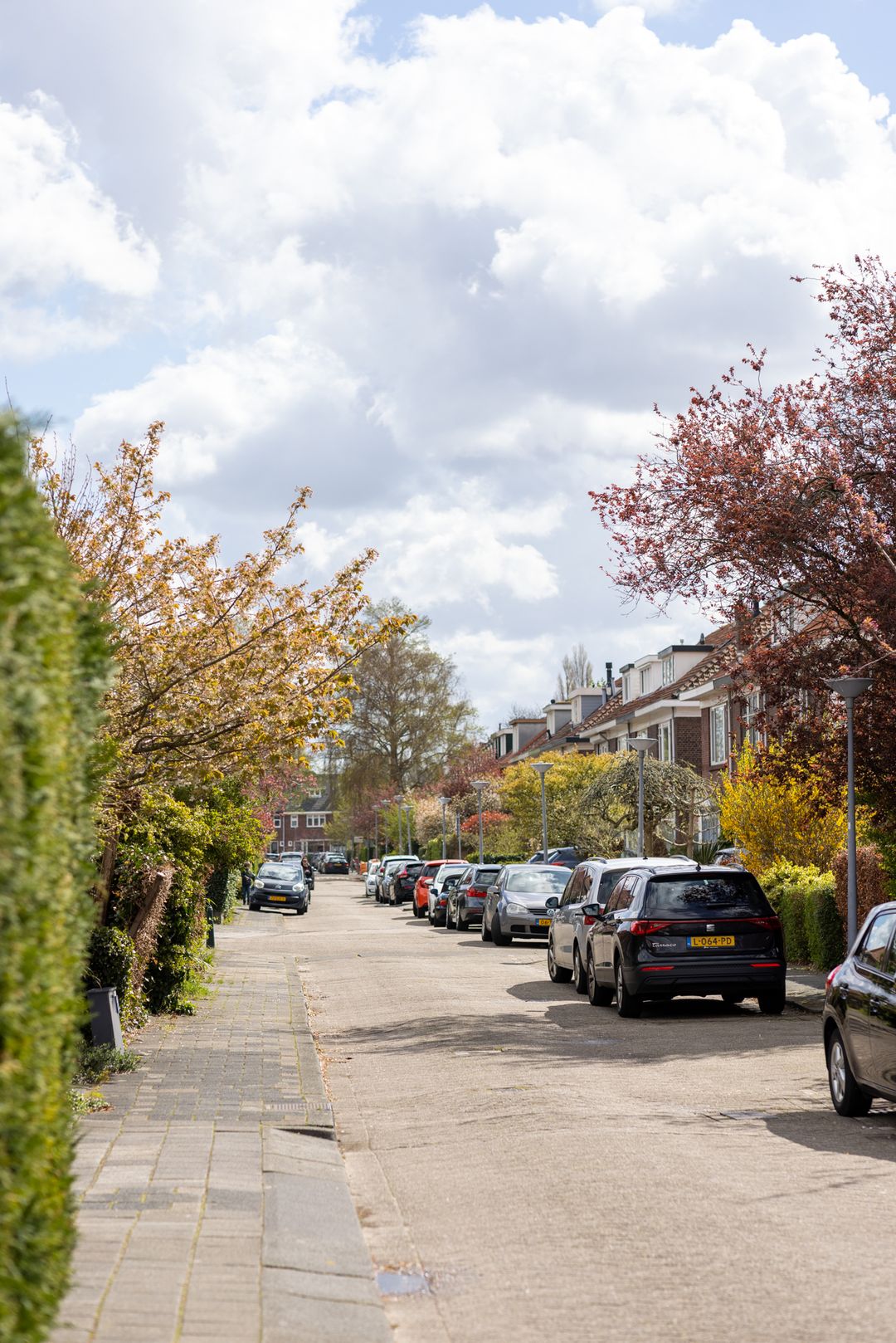 Foto 38 van Borchsatelaan 38