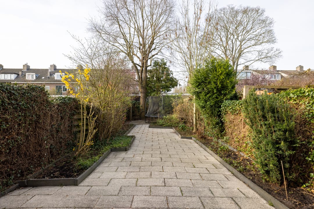 Foto 32 van Borchsatelaan 38