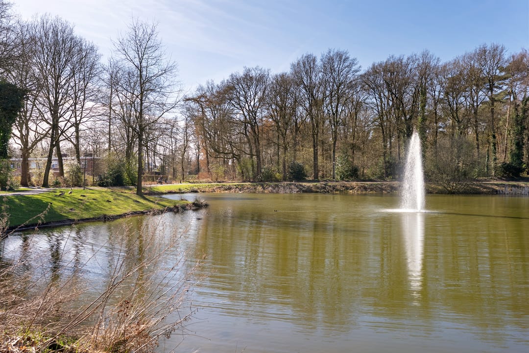 Photo 43 of Laan van de Marel 496