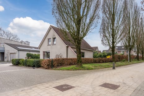 Heideslag 3 secondary image