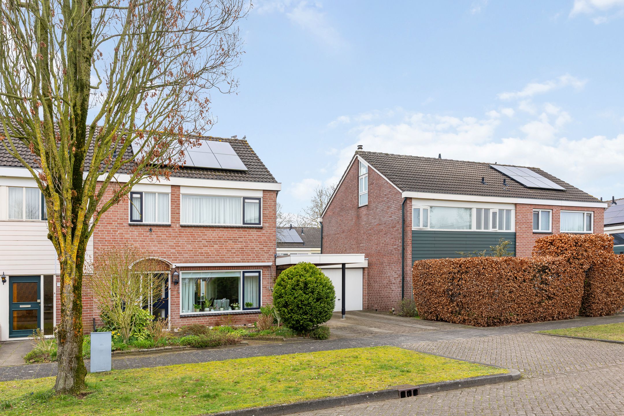 Foto 3 van de Haar 55