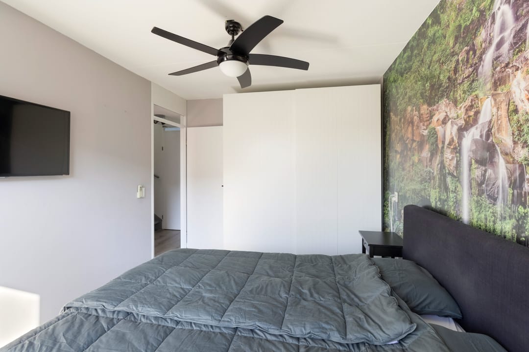 Photo 16 of Korenbloem 5