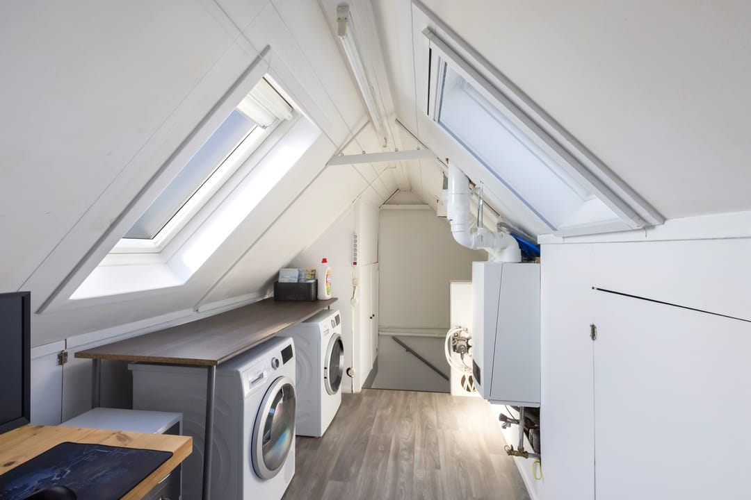 Photo 26 of Korenbloem 5