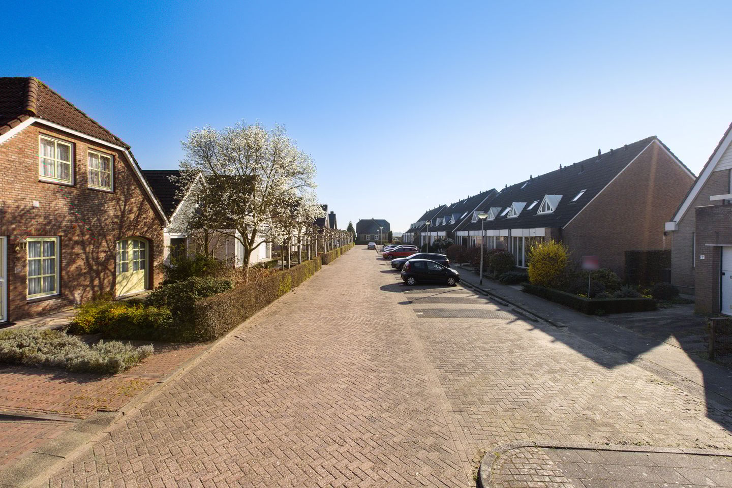 Photo 29 of Korenbloem 5