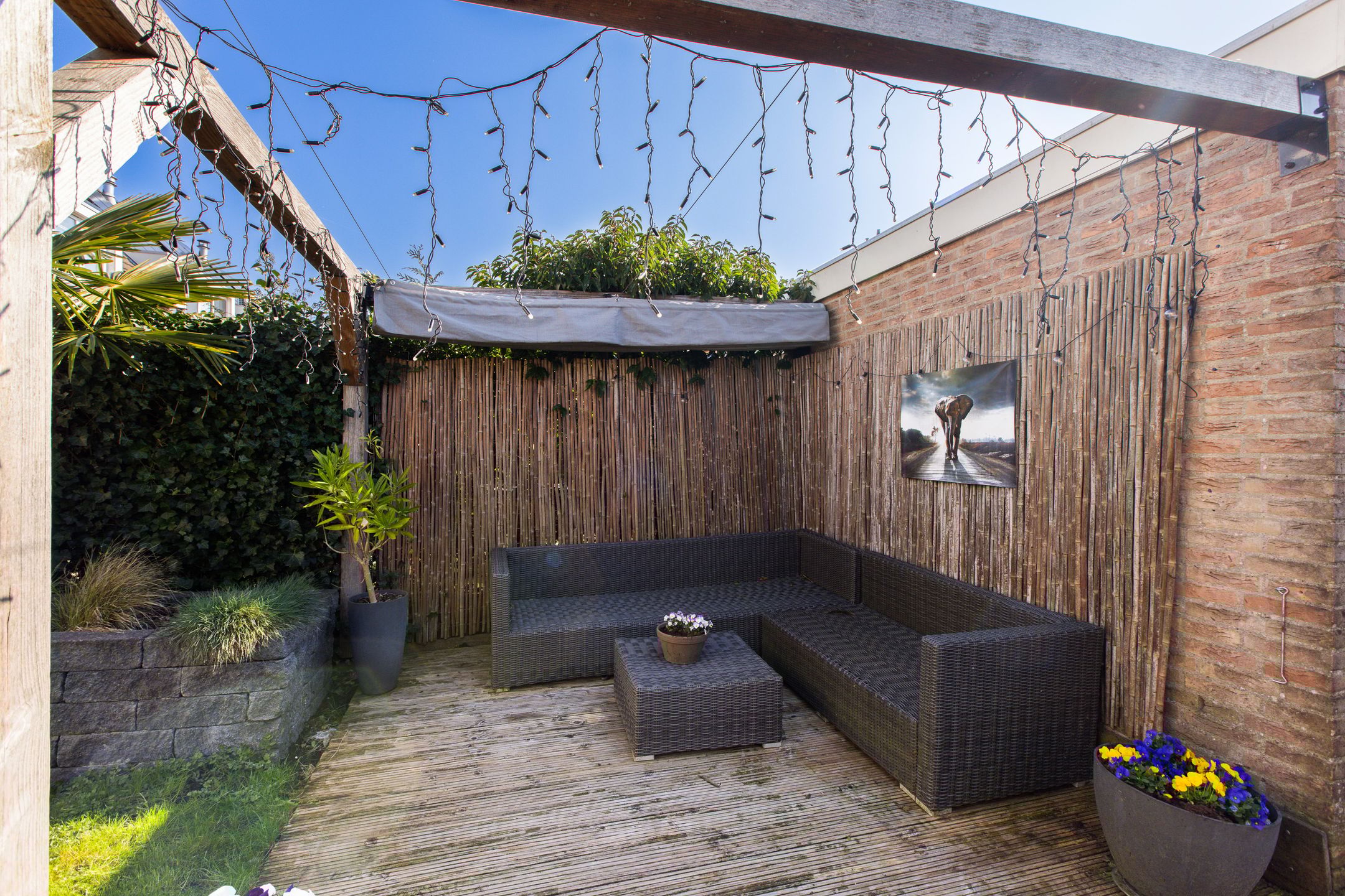 Photo 33 of Korenbloem 5