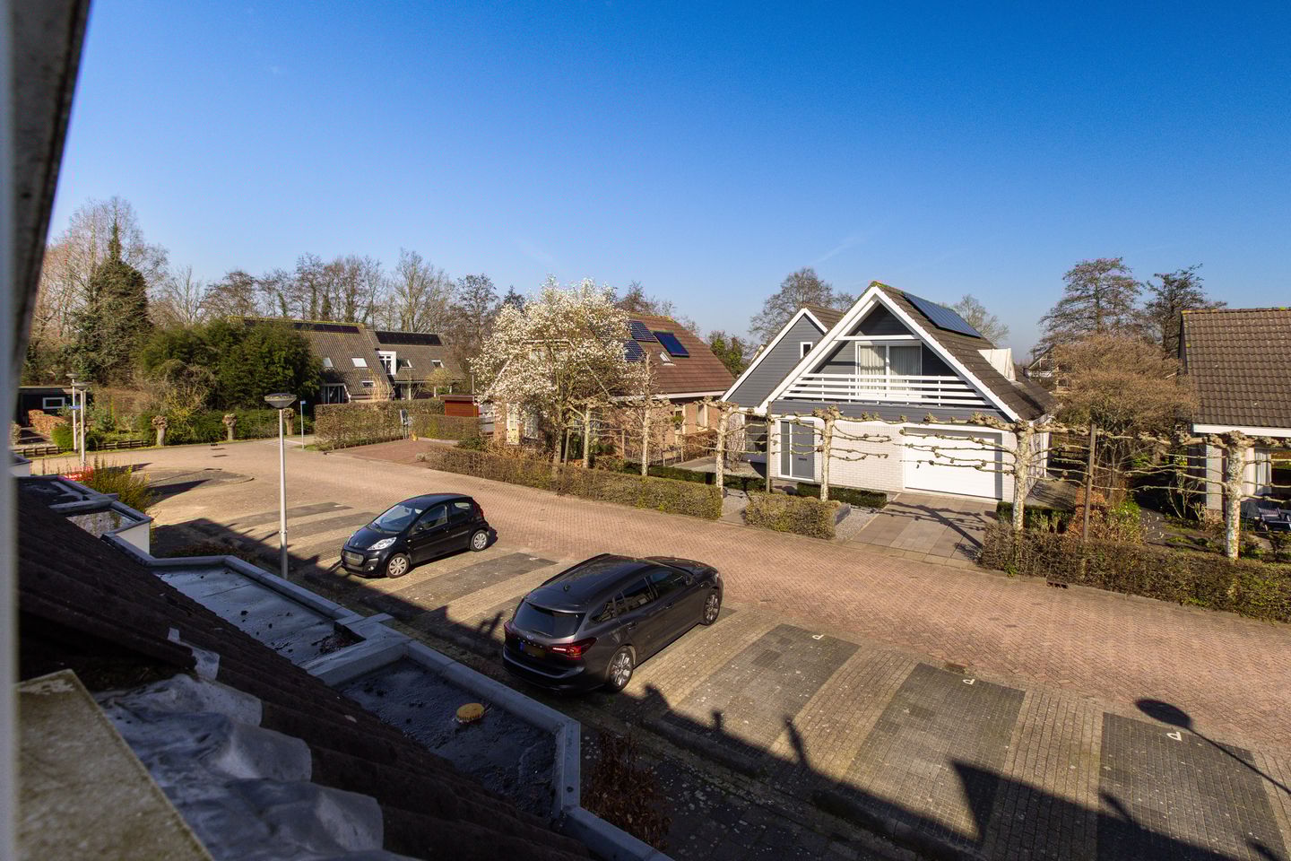 Photo 35 of Korenbloem 5