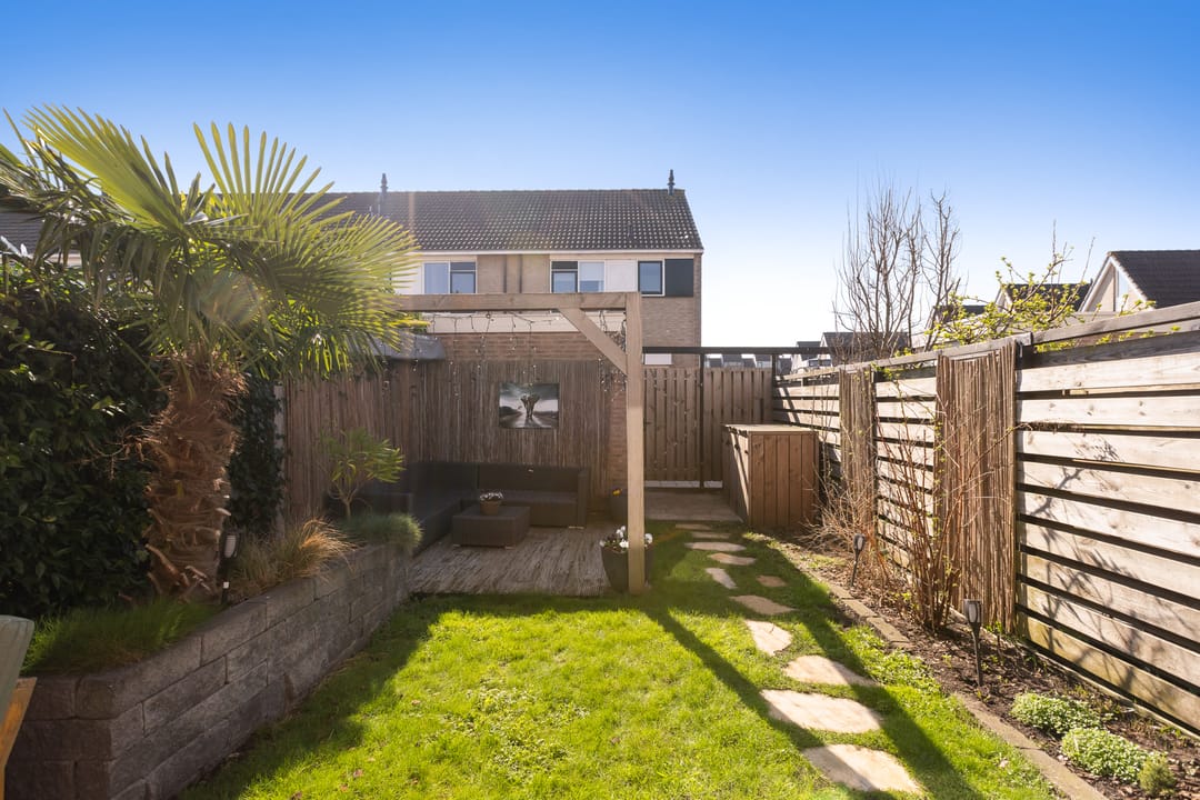 Photo 32 of Korenbloem 5