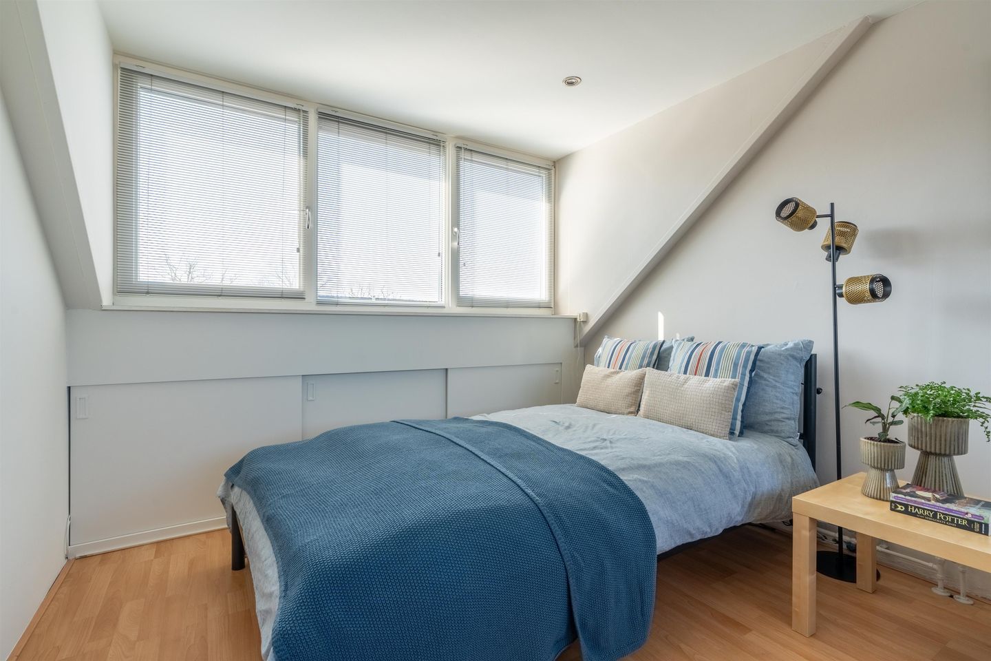 Foto 44 van Klimheuvel 10