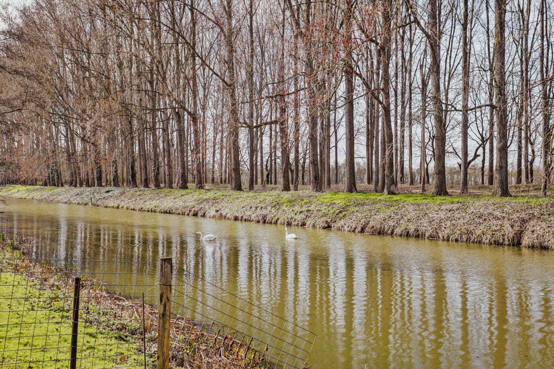 Foto 76 van Visserskade 42