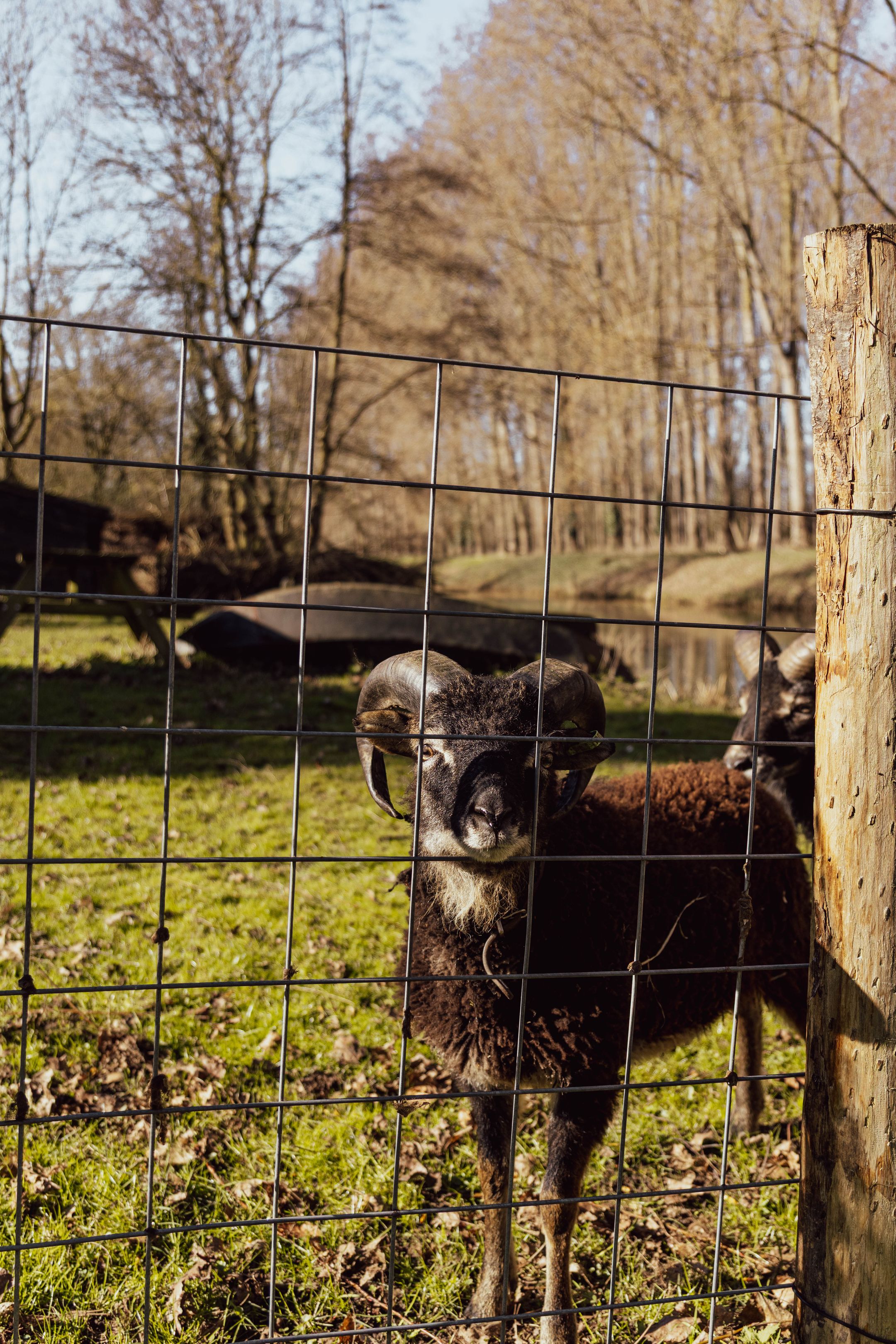 Foto 84 van Visserskade 42