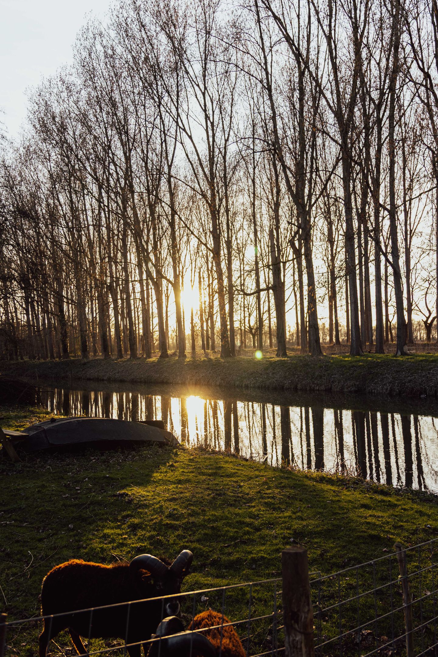 Foto 85 van Visserskade 42