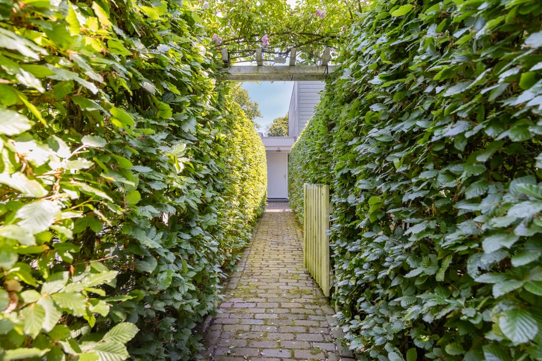 Foto 7 van Beukenlaan 12