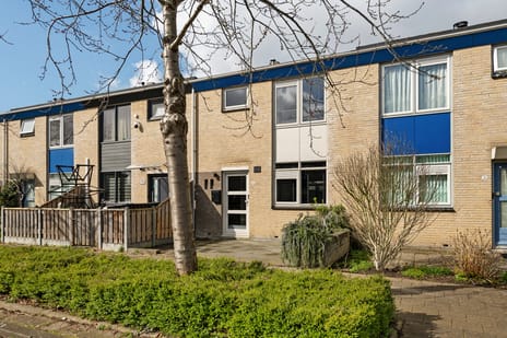 undefined main image