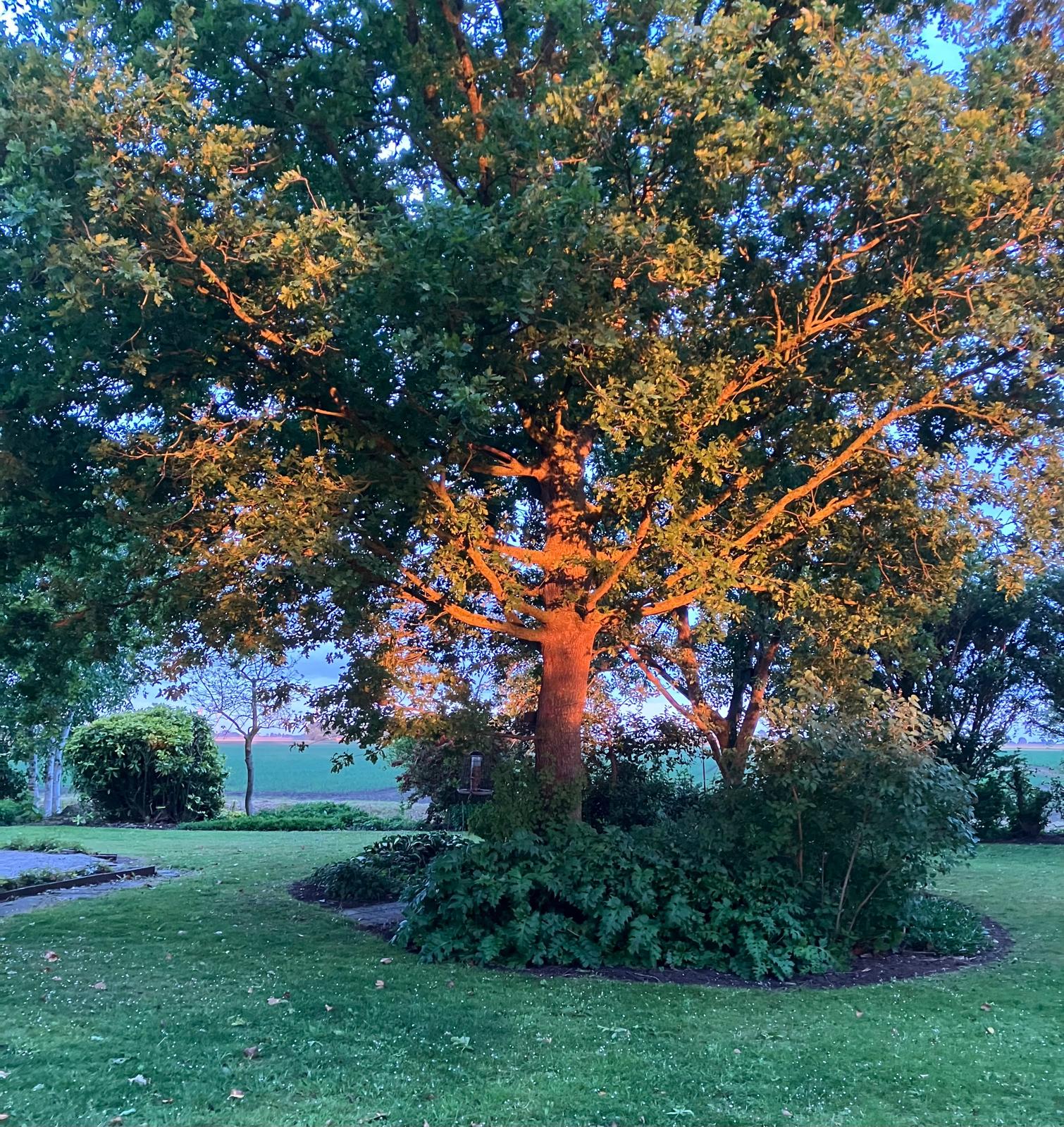 Photo 45 of Kneeskade 5