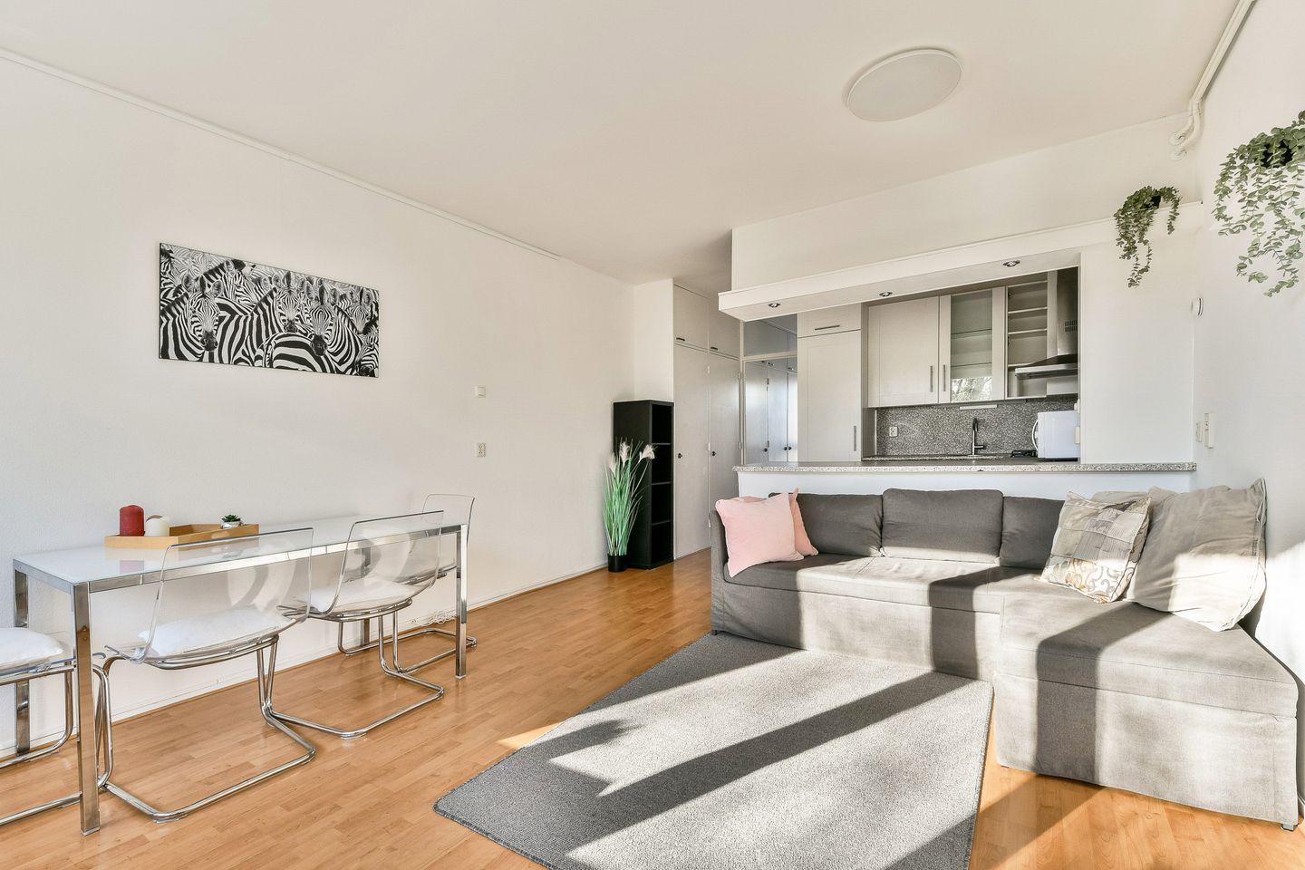 Photo 4 of Fideliolaan 168