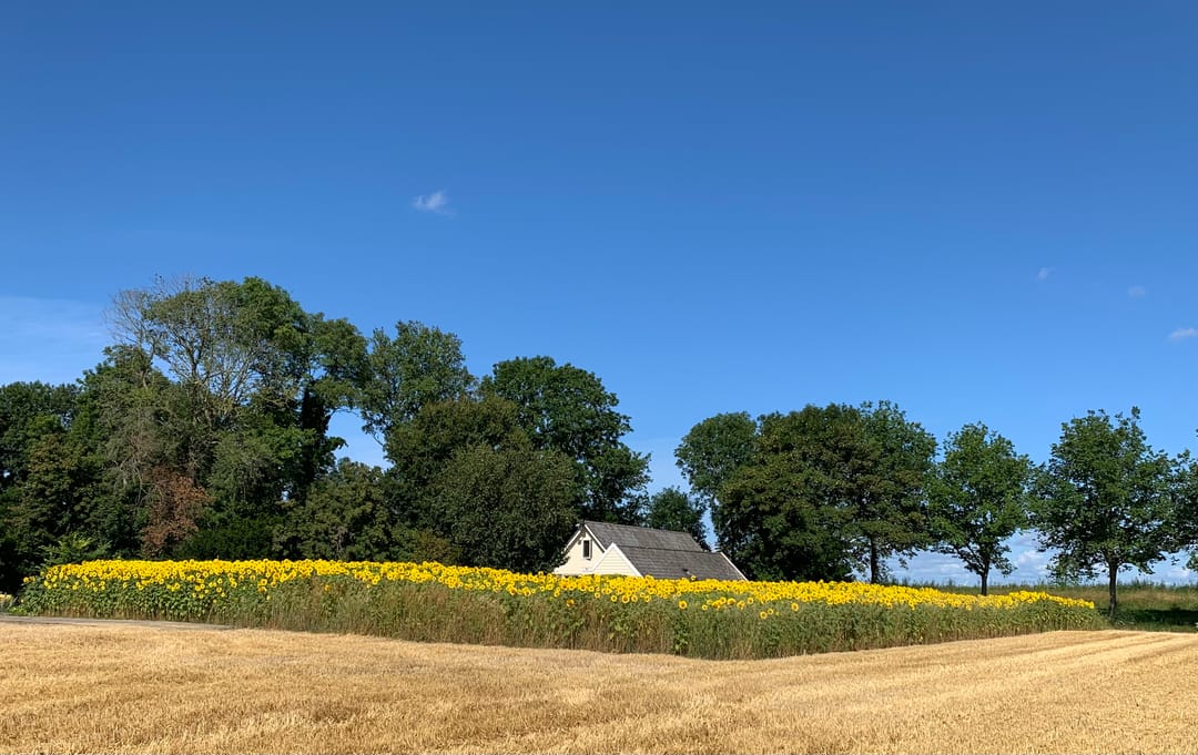 Photo 46 of Kneeskade 5