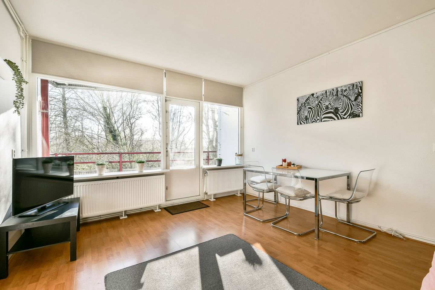 Photo 5 of Fideliolaan 168