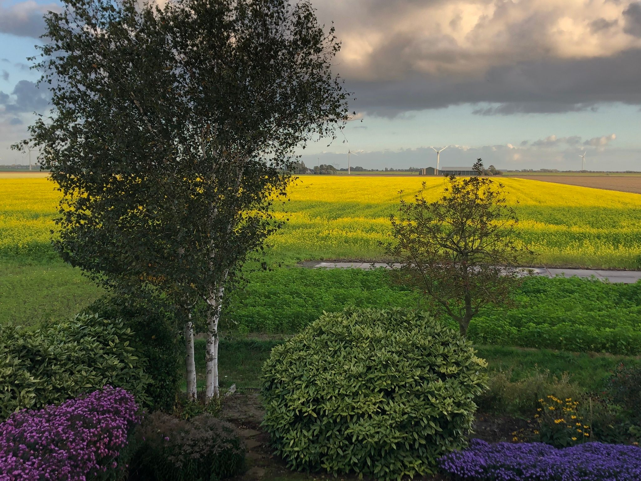 Photo 51 of Kneeskade 5