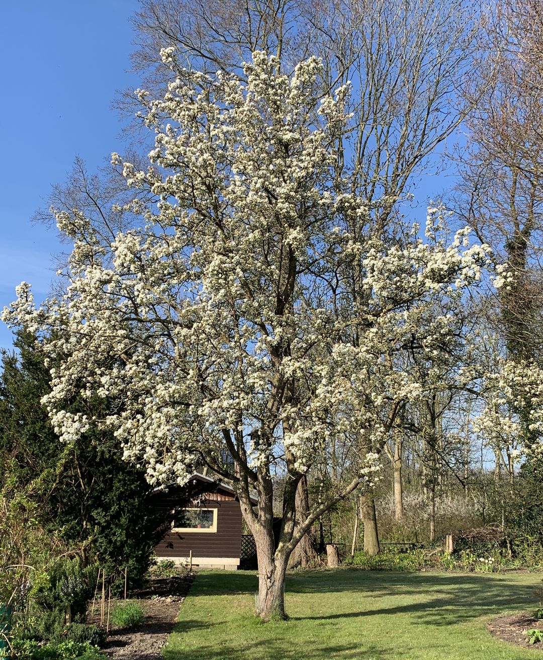 Photo 52 of Kneeskade 5