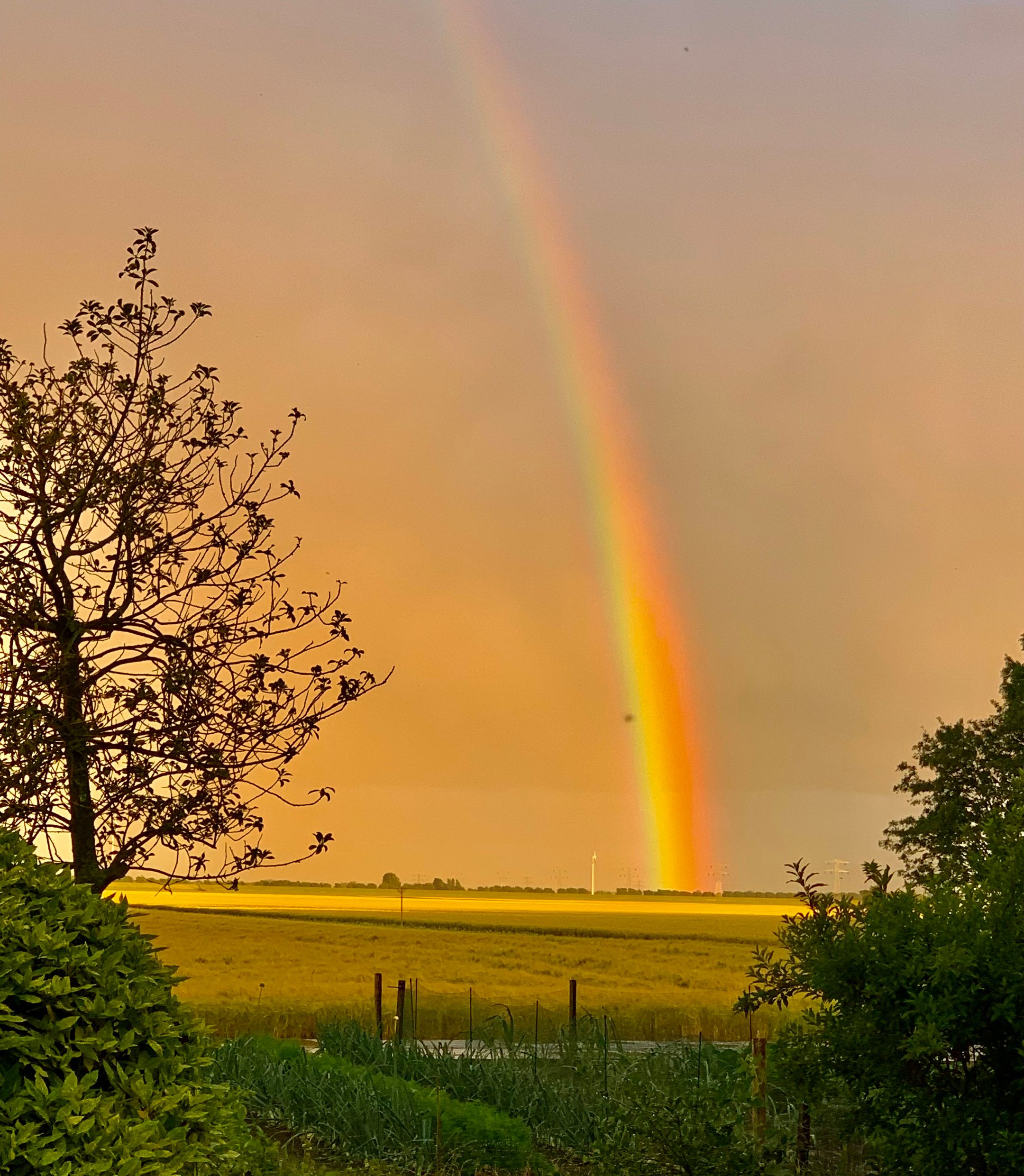 Photo 54 of Kneeskade 5