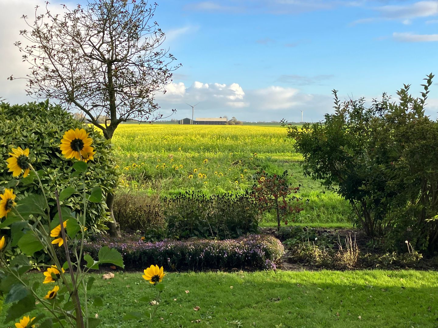 Photo 55 of Kneeskade 5