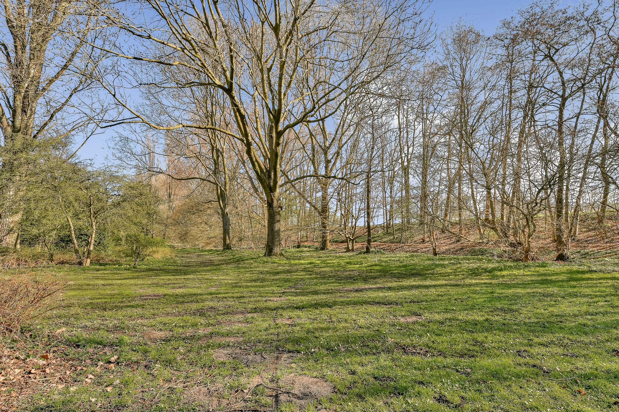 Photo 15 of Fideliolaan 168