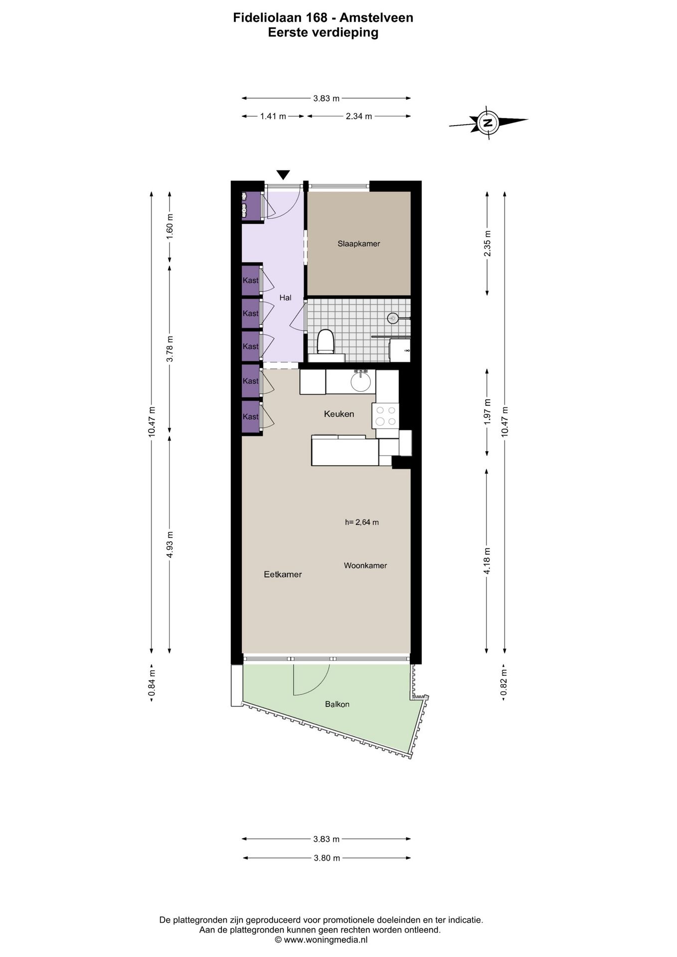 Photo 21 of Fideliolaan 168