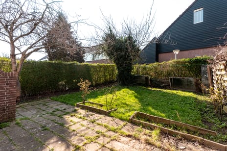 Punter 40 28 tertiary image