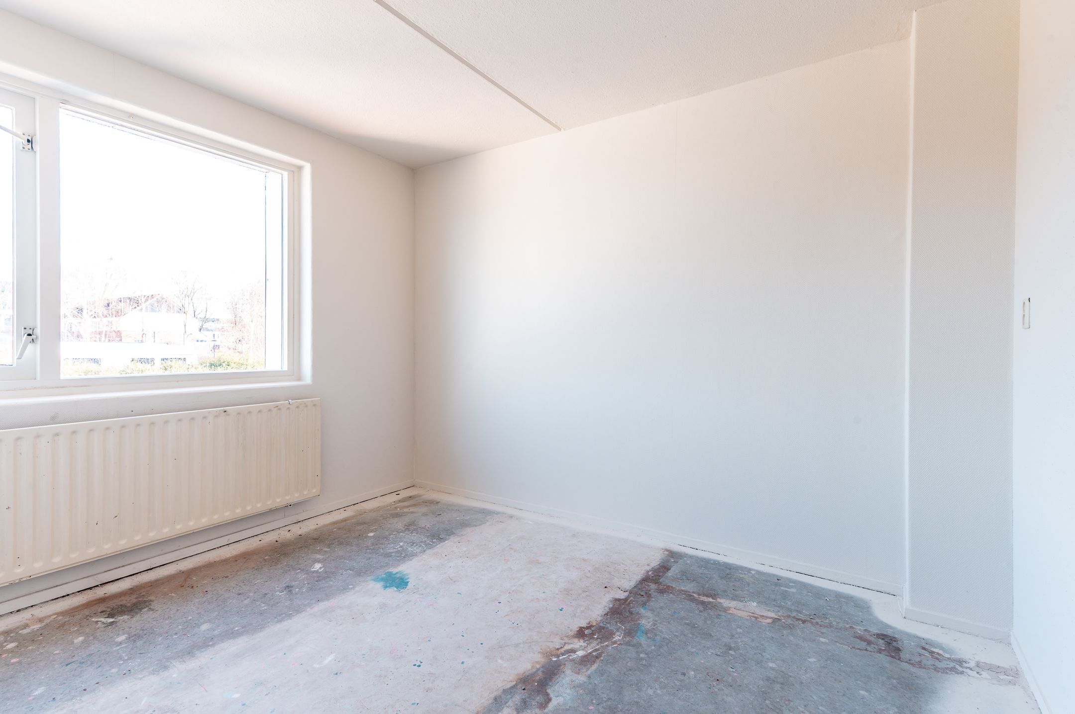 Foto 18 van Punter 40 28