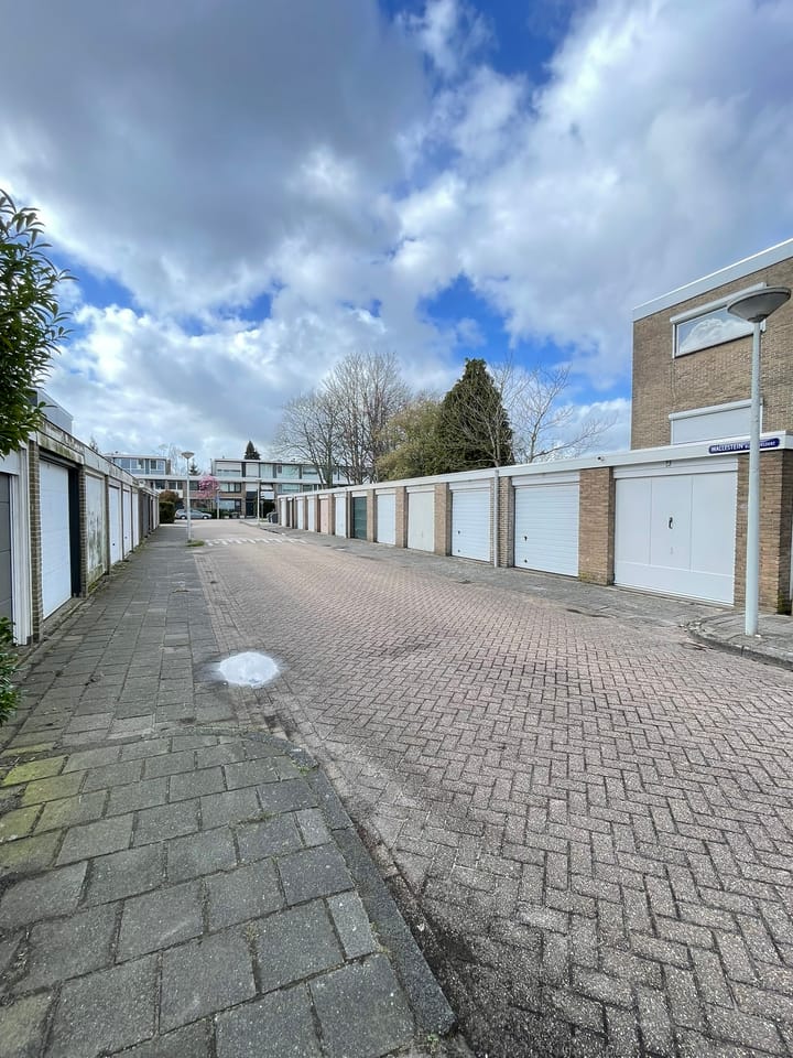 Photo 3 of Wallestein 13