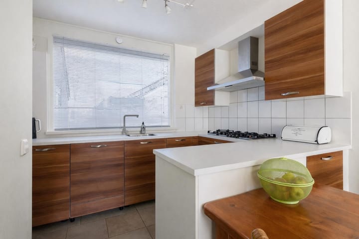 Foto 3 van Maagdepalm 4