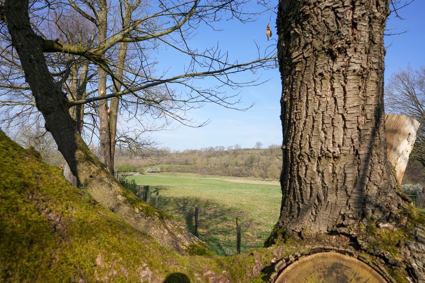 Foto 34 van Oude Baan 13-C