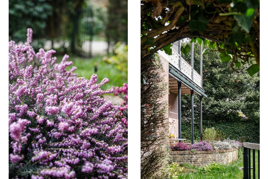 Foto 46 van Marius Bauerlaan 11