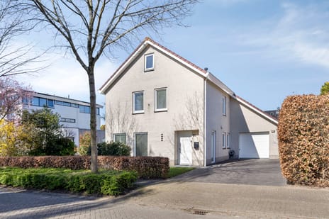 Kraanvogellaan thumbnail