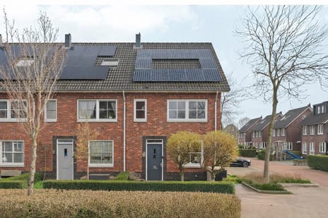 undefined main image