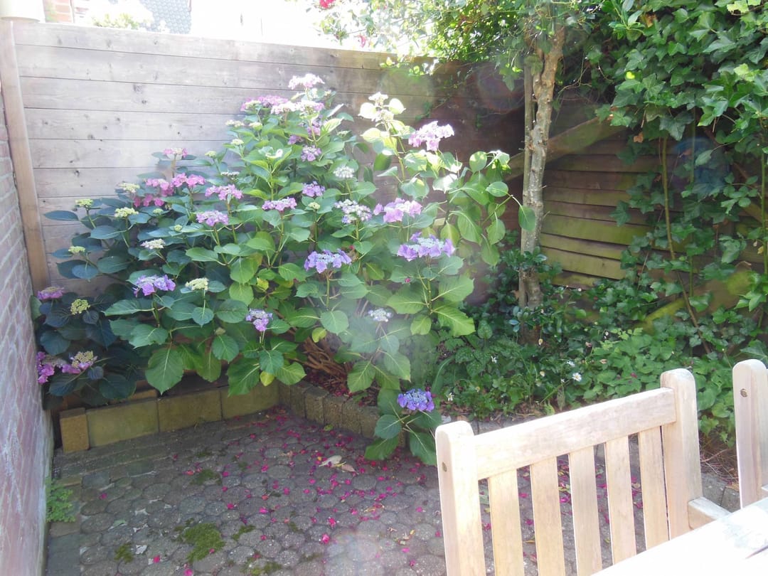 Foto 13 van Oudwijkerveldstraat 104